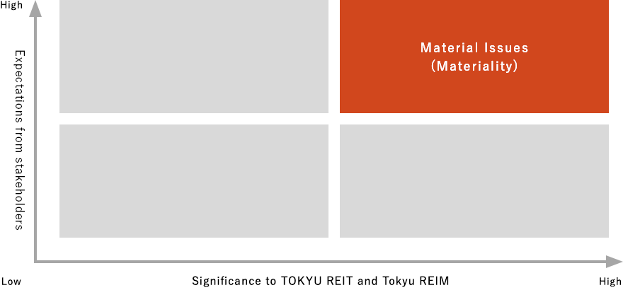 Material Issues (Materiality)